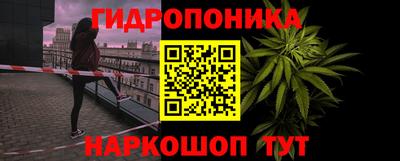 ECSTASY Будённовск
