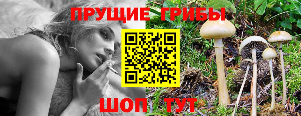 Псилоцибиновые грибы Psilocybine cubensis  Галлюциногенные грибы Psilocybine cubensis  Вход с VPN  Великие Луки 