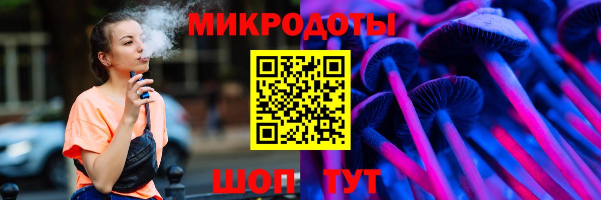 Псилоцибиновые грибы Psilocybe Великие Луки