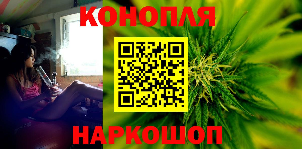 Бошки марихуана сатива  Каннабис планчик  Бошки Шишки план  Вход с VPN  Великие Луки 